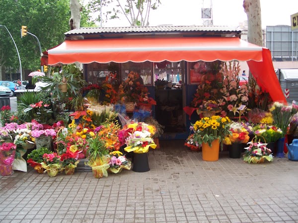 Floristeria Díaz