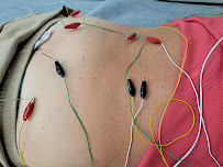 All the Way Health Acupuncture and Herb - Photo 6 - Car repair in Land O' Lakes, FL, Tampa