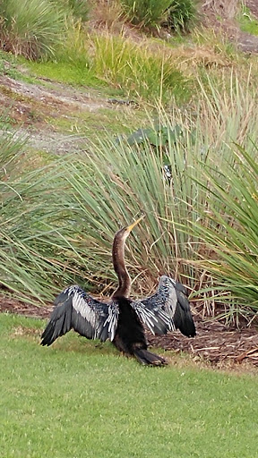 Golf Club «Sanctuary Golf Club», reviews and photos, 2801 Wulfert Rd, Sanibel, FL 33957, USA