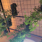 Photo n°3 de l'avis de Simone.r fait le 02/01/2022 à 11:25 sur le  UBK Restaurant Ostia à Ostia