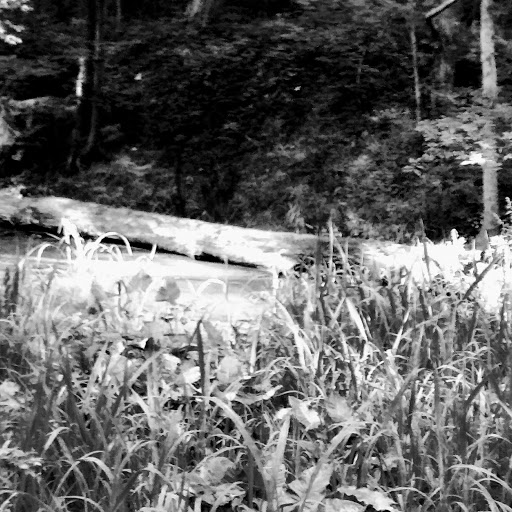 Tourist Attraction «St. Helena Heritage Park», reviews and photos, 123 Tuscarawas St NW, Canal Fulton, OH 44614, USA