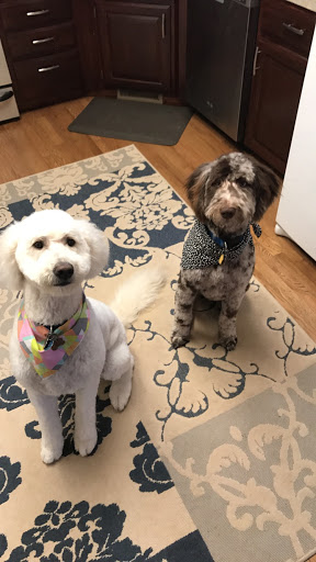 Pet Supply Store «Wag», reviews and photos, 2450 Harney St, Omaha, NE 68131, USA