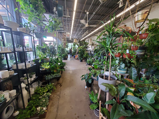 Farmers Market - Chicago's Garden Center