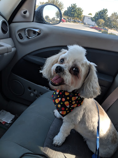 Pet Supply Store «Petco Animal Supplies», reviews and photos, 5481 Lone Tree Way, Brentwood, CA 94513, USA