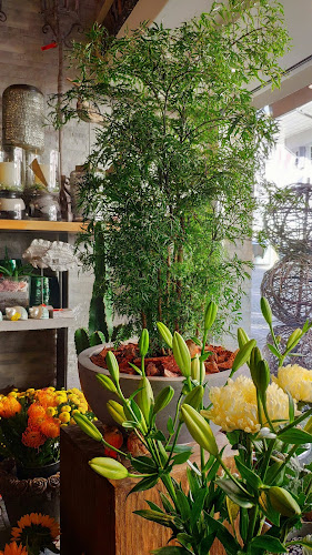 Blueme Paradies Zofingen GmbH - Blumengeschäft