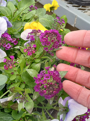 Home Improvement Store «The Home Depot», reviews and photos, 902 Murray Rd, East Hanover, NJ 07936, USA