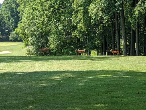 Country Club «Newark Country Club», reviews and photos, 300 W Main St, Newark, DE 19715, USA