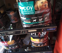 DOLCE DOG PUEBLA photo