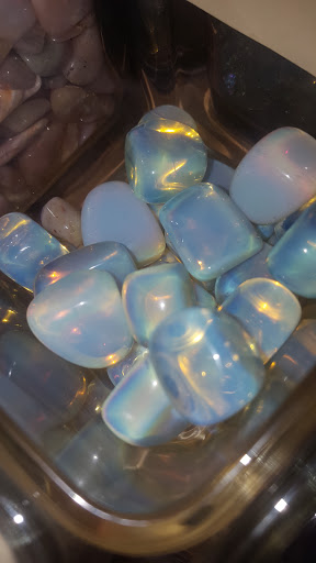 Book Store «Mimosa Books & Gifts», reviews and photos, 260 W Gilman St, Madison, WI 53703, USA