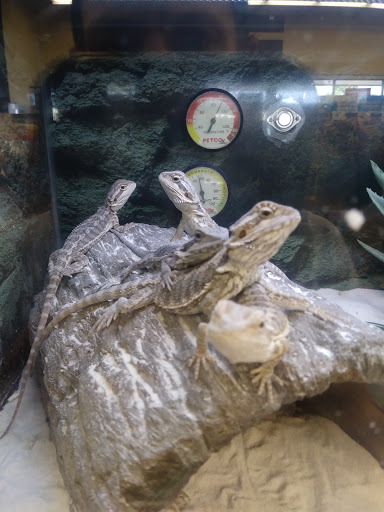 Pet Supply Store «Petco Animal Supplies», reviews and photos, 1820 N Tomahawk Island Dr, Portland, OR 97217, USA