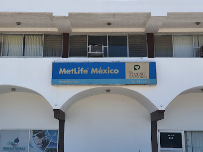 MetLife México - Servicios Pecasa - LARCAN