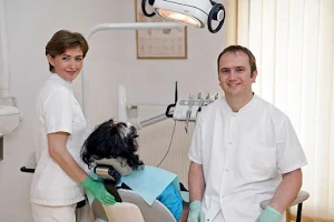 Stomatološka ordinacija Dental Art Bihać image