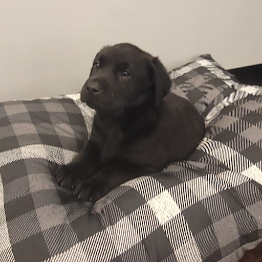 Pet Store «PV Pets», reviews and photos, 233 S Broadway, Pennsville, NJ 08070, USA