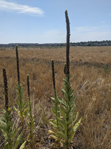 Park «Sage Creek Park», reviews and photos, 9500 Civic Center Dr, Thornton, CO 80229, USA