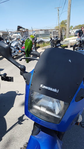 Used Motorcycle Dealer «PRECISION MOTORCYCLE», reviews and photos, 129 Southgate Ave, Virginia Beach, VA 23462, USA