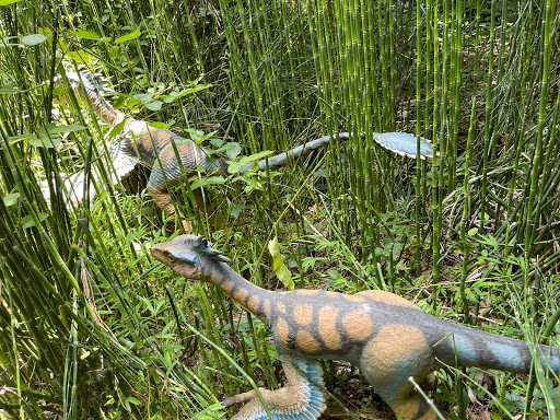 Science Museum «Museum of Life and Science», reviews and photos, 433 W Murray Ave, Durham, NC 27704, USA