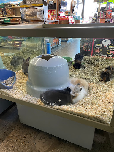 Pet Supply Store «Pet Express», reviews and photos, 180 Commercial St, Lynn, MA 01905, USA