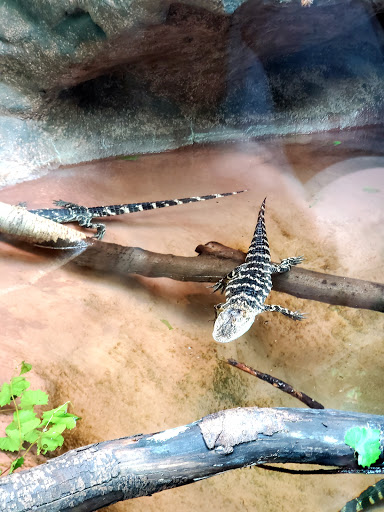 Science Museum «Museum of Life and Science», reviews and photos, 433 W Murray Ave, Durham, NC 27704, USA