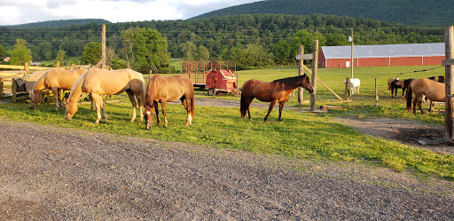 Horseback Riding Service «Secret Passage Ranch», reviews and photos, 321 Spring Mountain Way, Fort Valley, VA 22652, USA