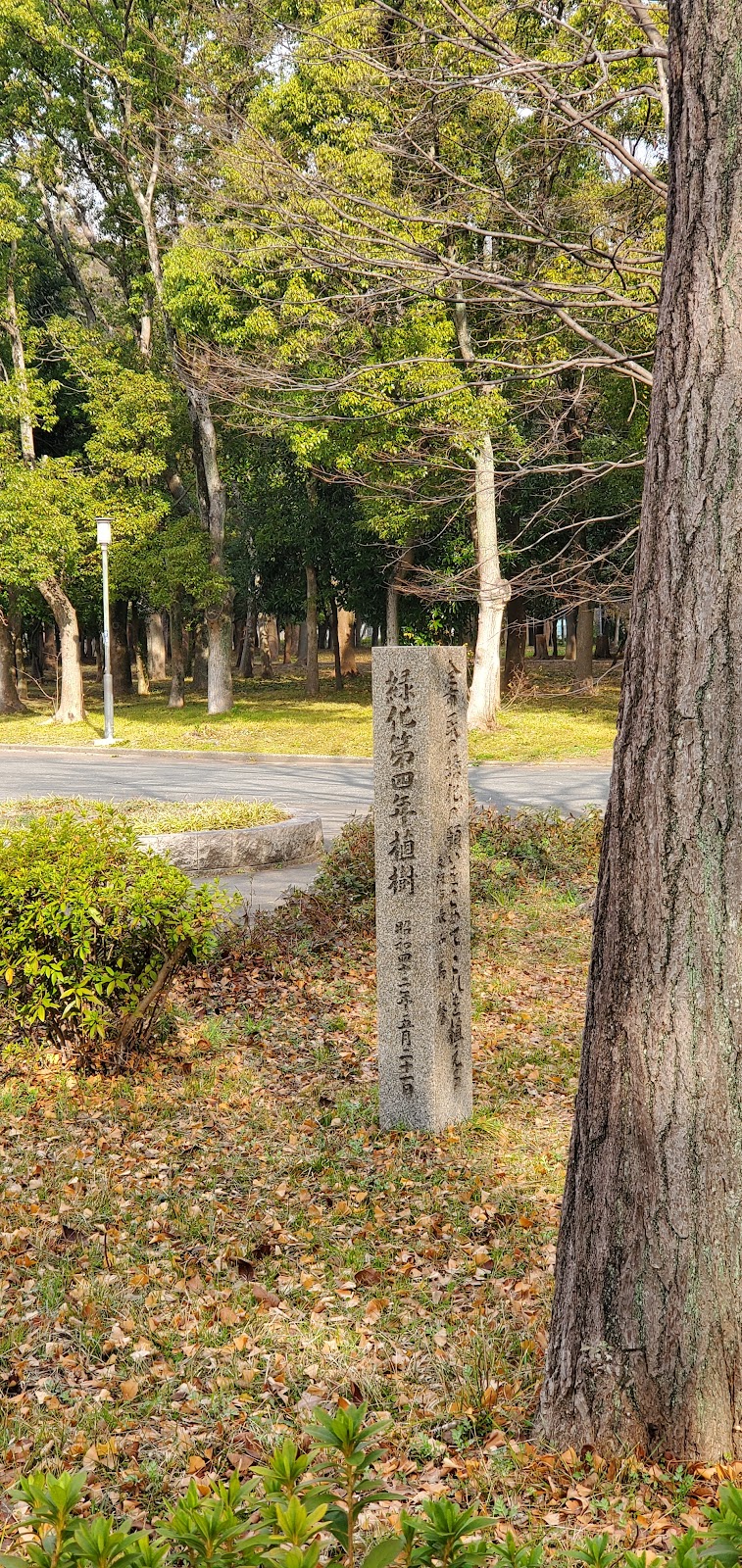 緑化記念植樹碑