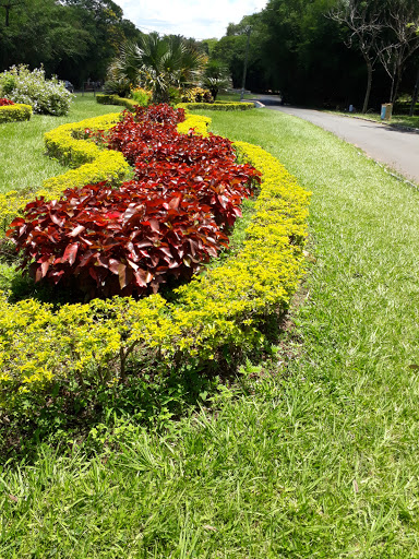 Jardín De La Señora, Asunción