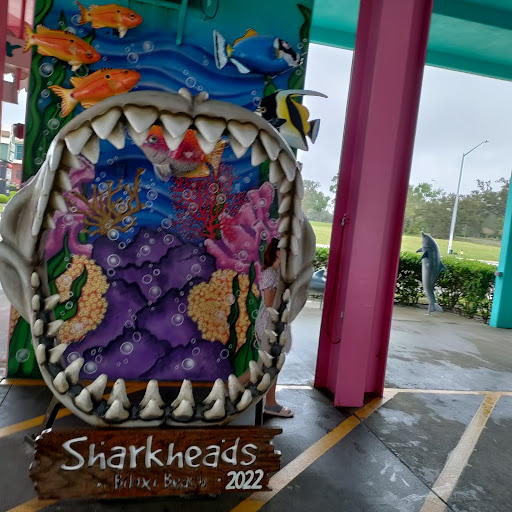 Souvenir Store «Sharkheads», reviews and photos, 1703 Beach Blvd, Biloxi, MS 39531, USA
