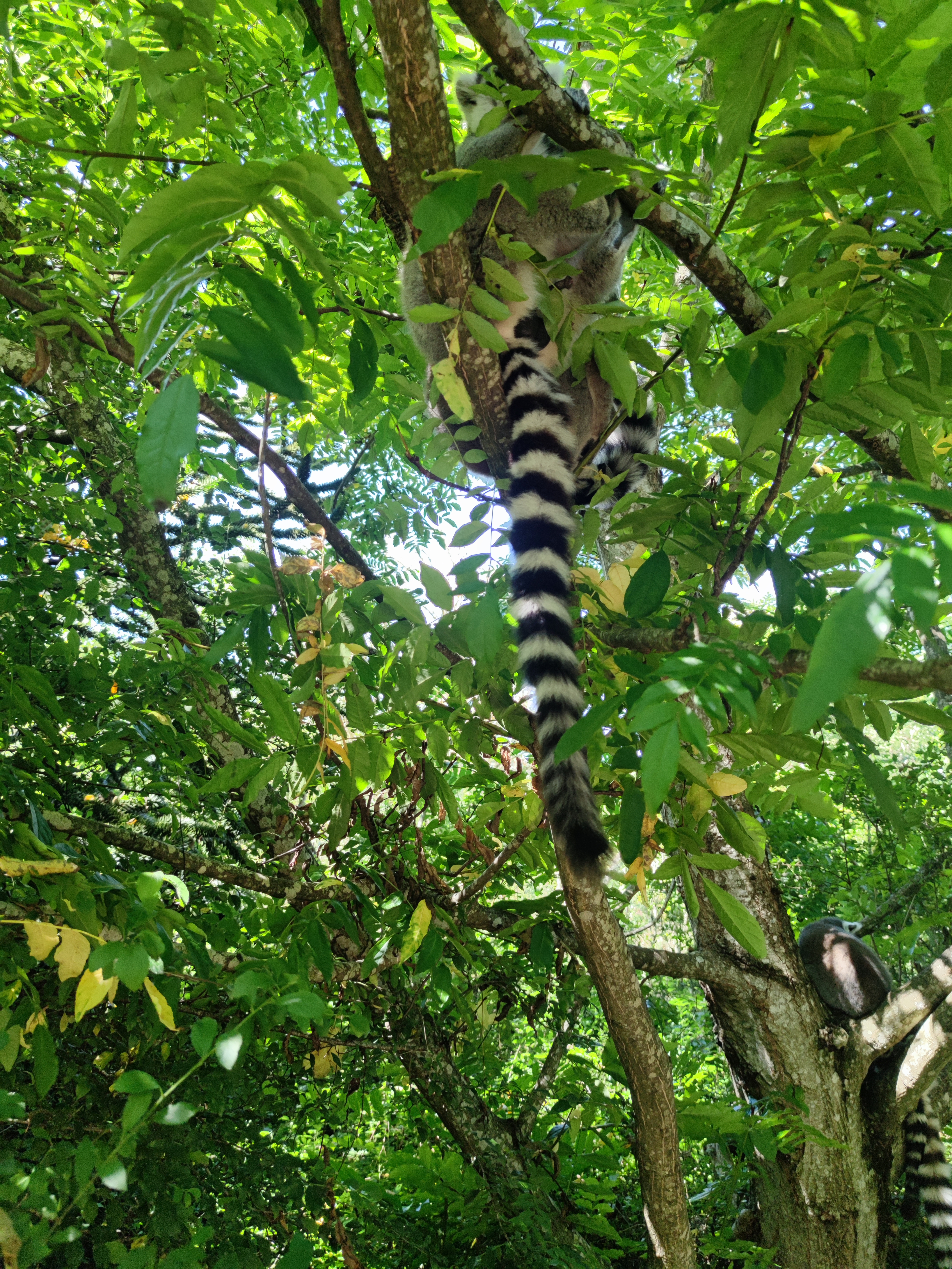 Photo n° 1 de l'avis de Fayçal.e fait le 11/09/2021 à 14:22