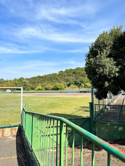 玉野市民総合運動公園