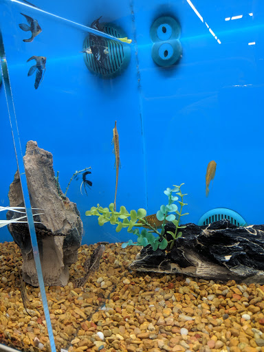 Pet Supply Store «PetSmart», reviews and photos, 6106 Shops Way, Northborough, MA 01532, USA