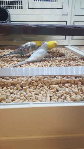 Pet Supply Store «PetSmart», reviews and photos, 1559 Merritt Blvd, Dundalk, MD 21222, USA