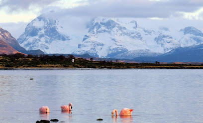 Patagonia Esteparea