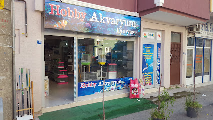 Hobby Akvaryum
