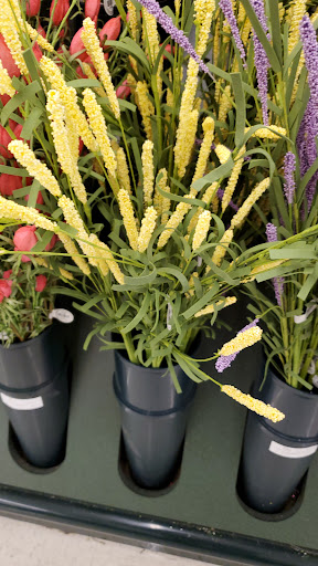 Craft Store «Hobby Lobby», reviews and photos, 1425 Tuskawilla Rd #111, Winter Springs, FL 32708, USA