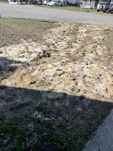 Plumber «Michael & Son Services», reviews and photos, 1229 S Military Hwy, Chesapeake, VA 23320, USA