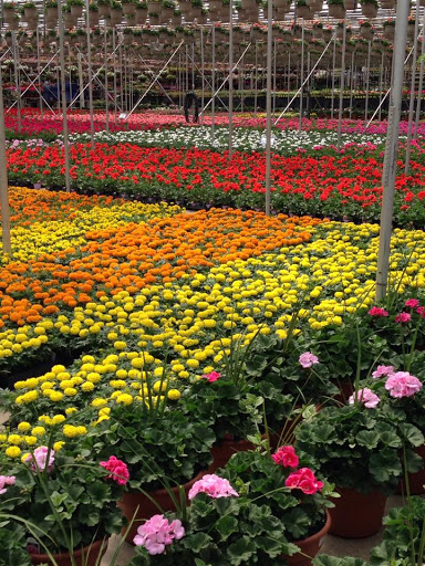 Garden Center «Gro-Rite Garden Center & Florist», reviews and photos, 30 Hillview Rd, Lincoln Park, NJ 07035, USA