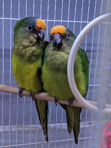 Pet Store «Animal Ark Pet Stores», reviews and photos, 33 Center St, Orem, UT 84057, USA