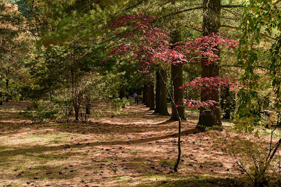 Arboretum Kostelec nad Černými lesy