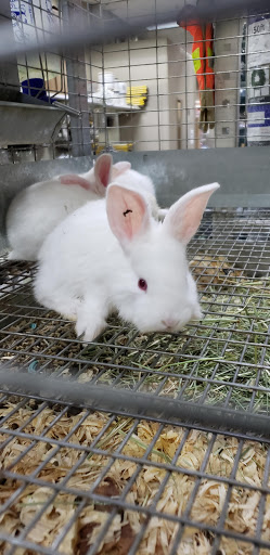 Home Improvement Store «Tractor Supply Co.», reviews and photos, 3826 S Suncoast Blvd, Homosassa, FL 34448, USA