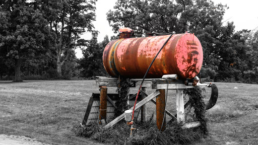 Produce Market «Brookwood Fruit Farm», reviews and photos, 7845 Bordman Rd, Almont, MI 48003, USA