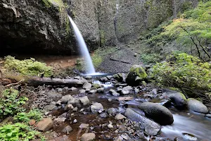 Ponytail Falls image