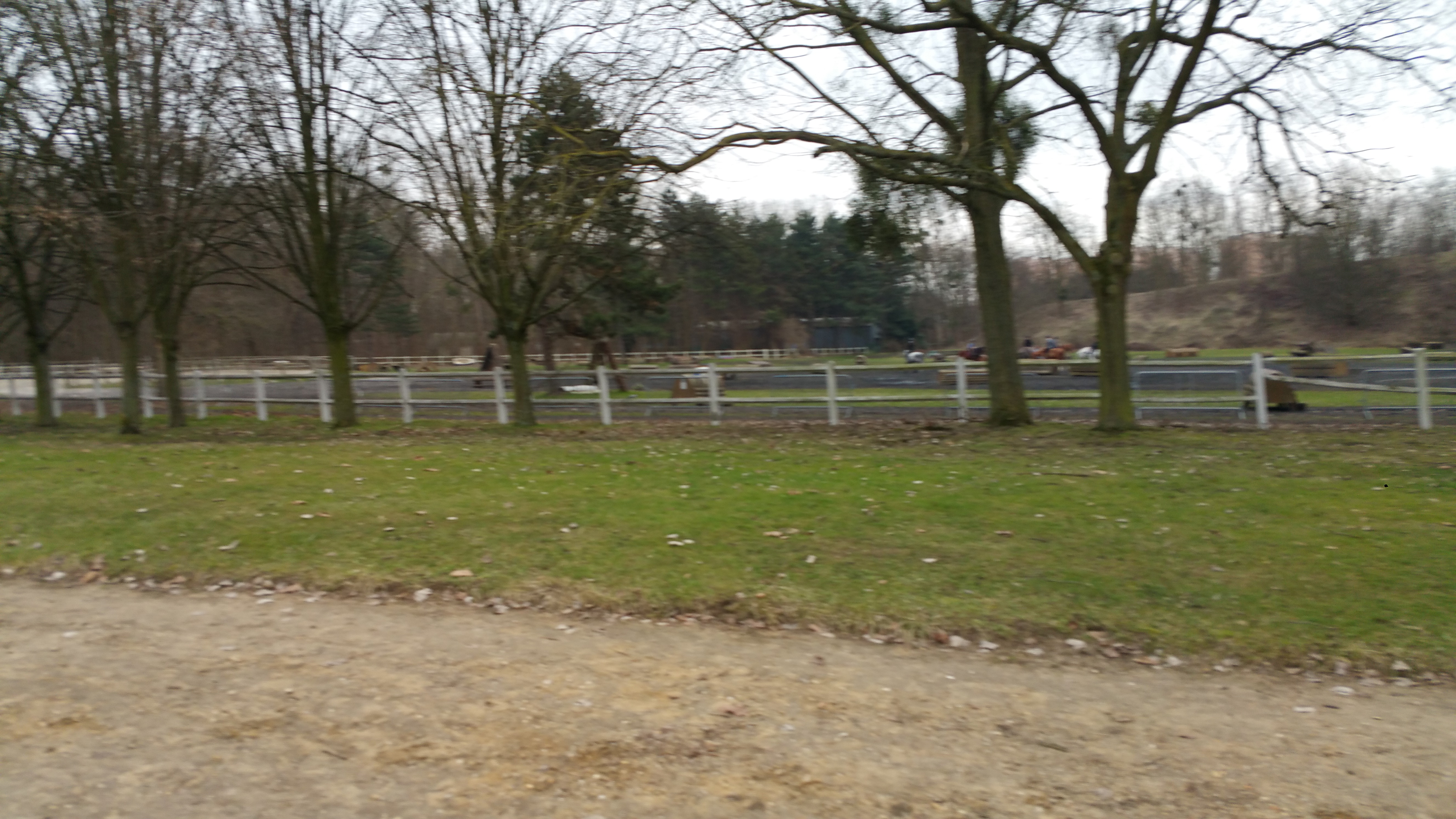 Photo n° 3 de l'avis de Yozer. fait le 23/02/2017 à 01:31