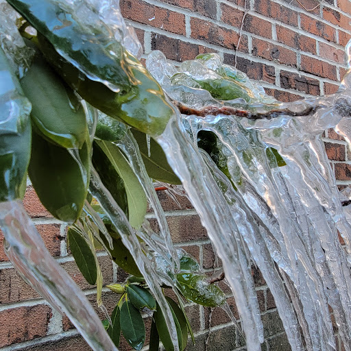 Golf Course «Flying Hills Golf Course», reviews and photos, 14 Village Center Dr, Reading, PA 19607, USA