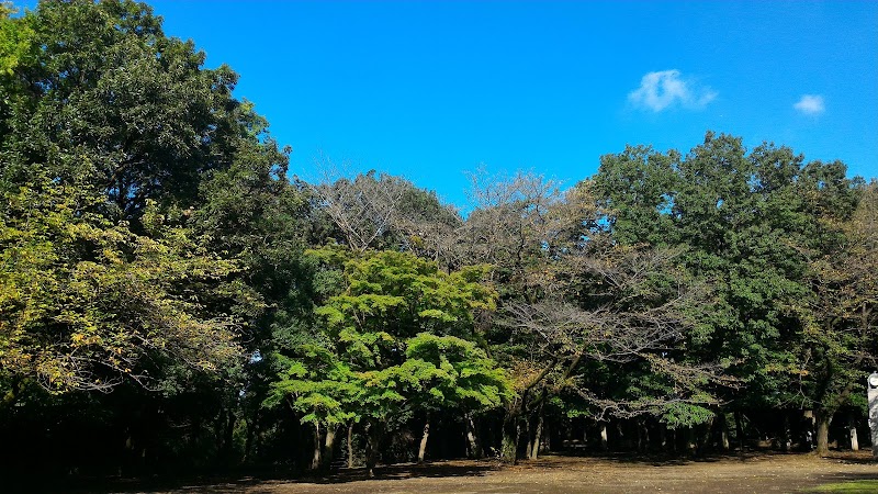 城山公園駐車場