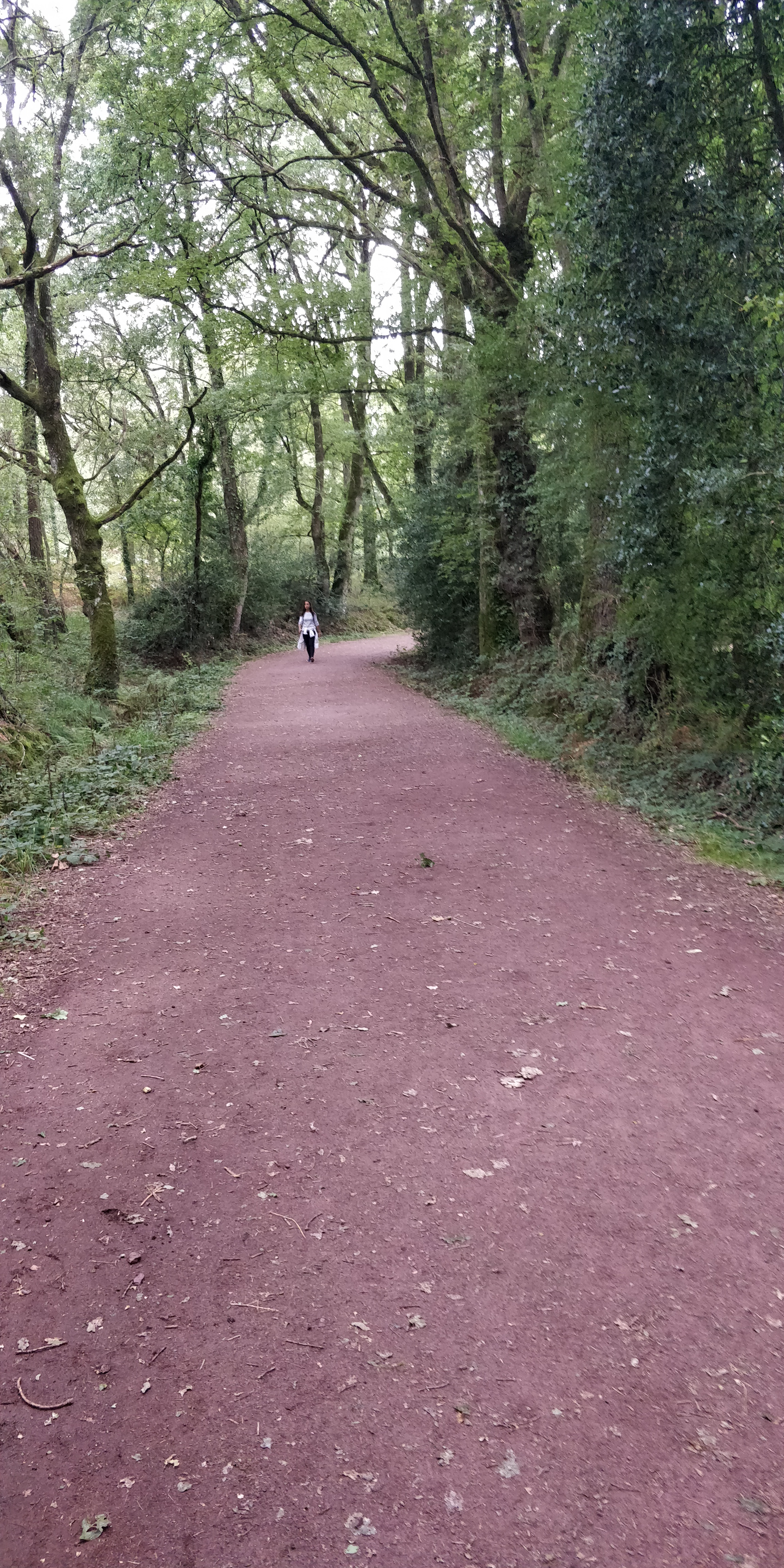 Photo n° 6 de l'avis de Alfred.e fait le 29/08/2020 à 16:03