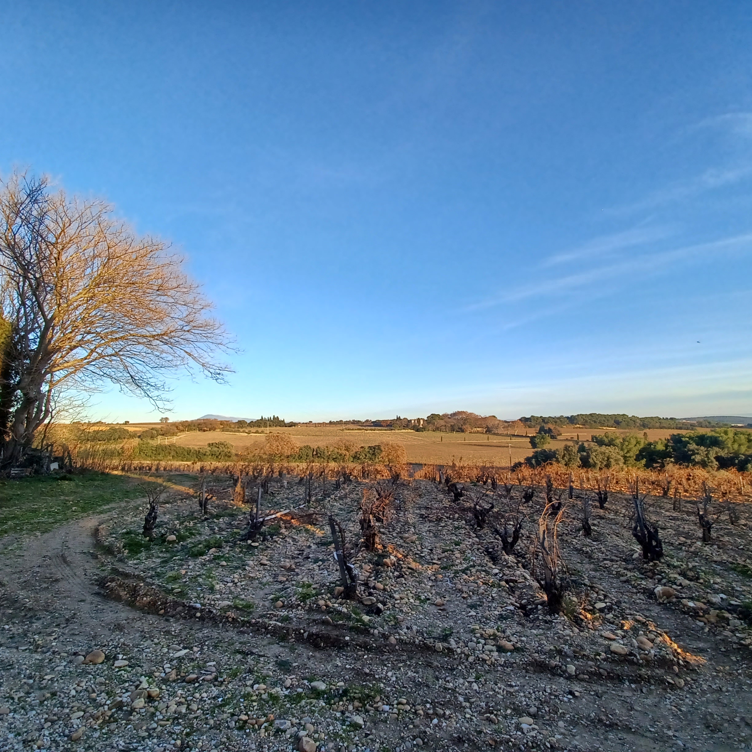 Photo n° 9 de l'avis de J.l fait le 26/12/2023 à 20:29