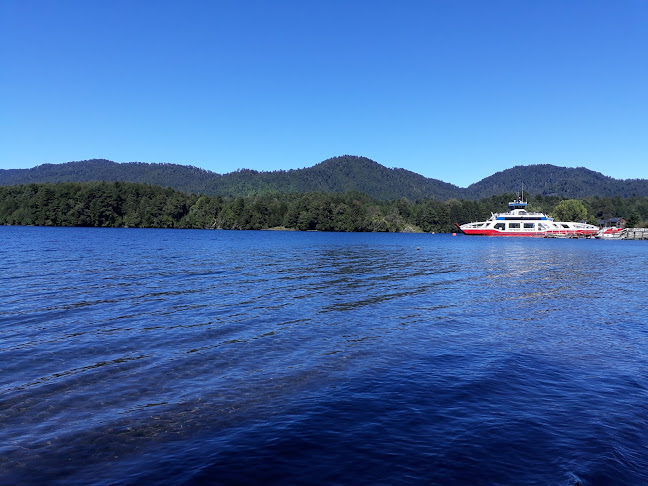 Opiniones de Mini mercado del Lago en Panguipulli - Supermercado