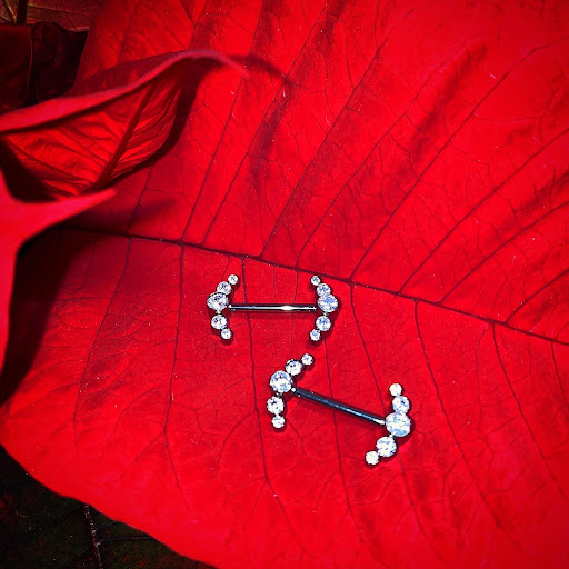 Explore elegant spine tattoo ideas, creative tattoo ideas in Cary, available at Fine Art Body Piercing By Lilith Mae