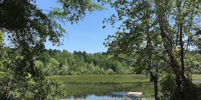 Boyd Pond Park