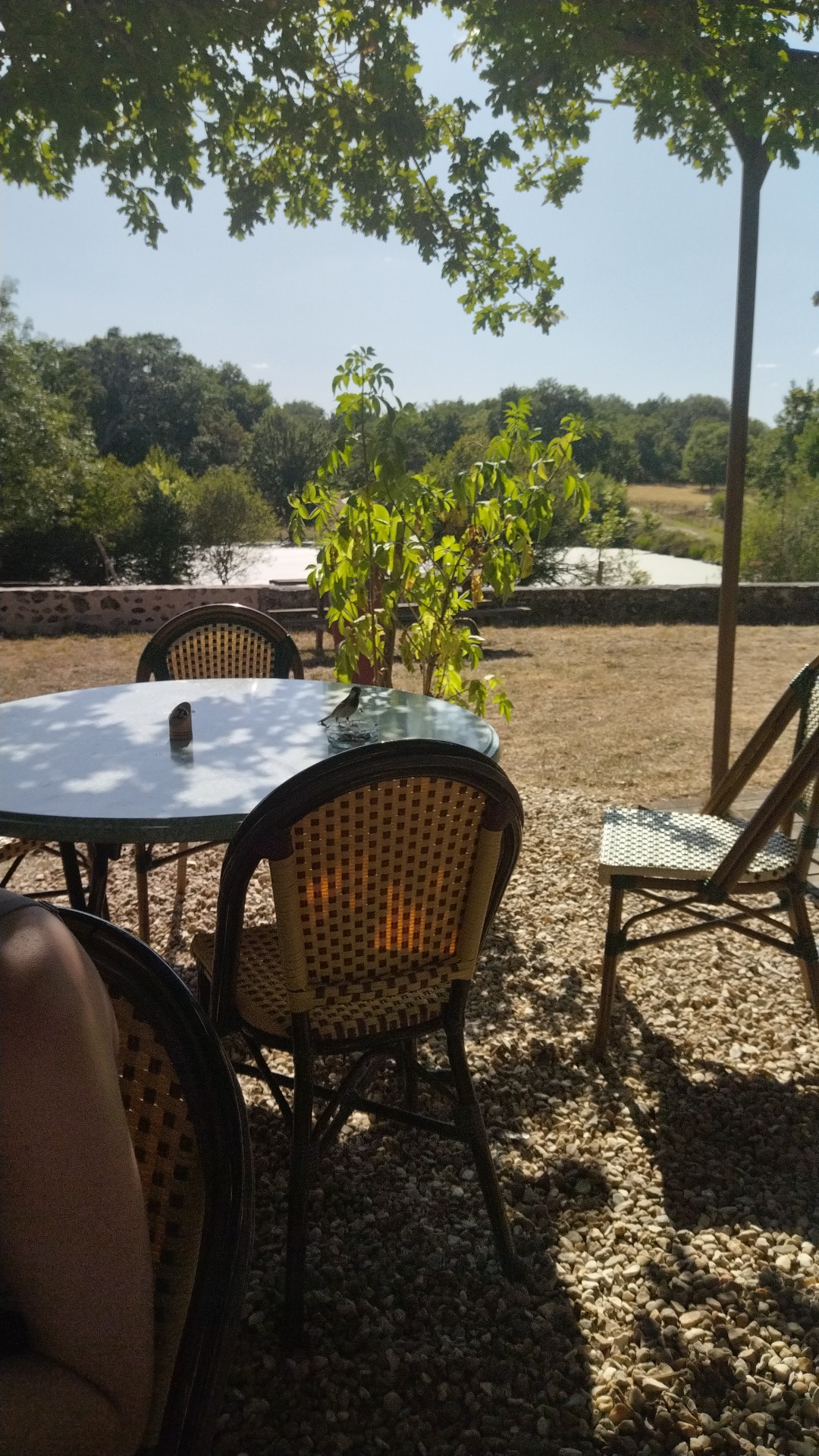 Photo n° 1 de l'avis de Maryse.a fait le 17/07/2023 à 15:47