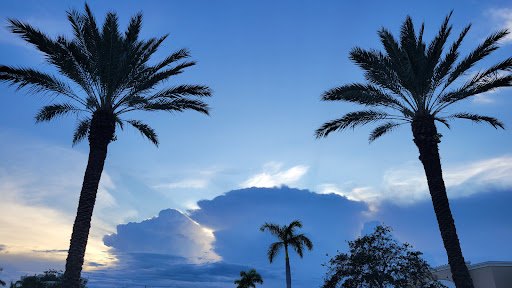 Shopping Mall «Diplomat Mall Shopping Center», reviews and photos, 1725 E Hallandale Beach Blvd, Hallandale Beach, FL 33009, USA